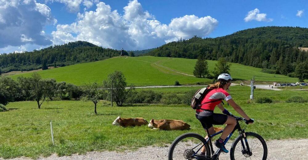 Penzion Zbojnicky Halas Tisovec Экстерьер фото